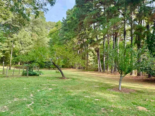 a green field with lots of trees