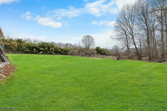 a view of grassy field with trees