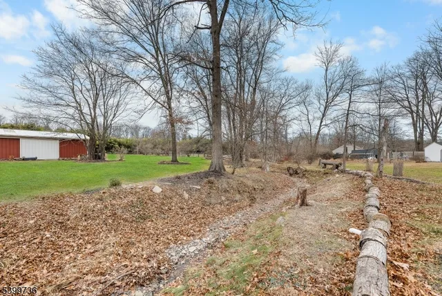a view of a park with bench and trees