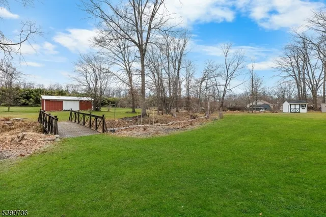 a view of a park with large trees