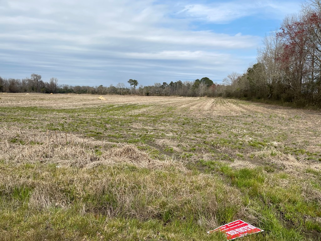 Lot 13 Hill Road Sumter, SC 29153 - Photo 4 of 4
