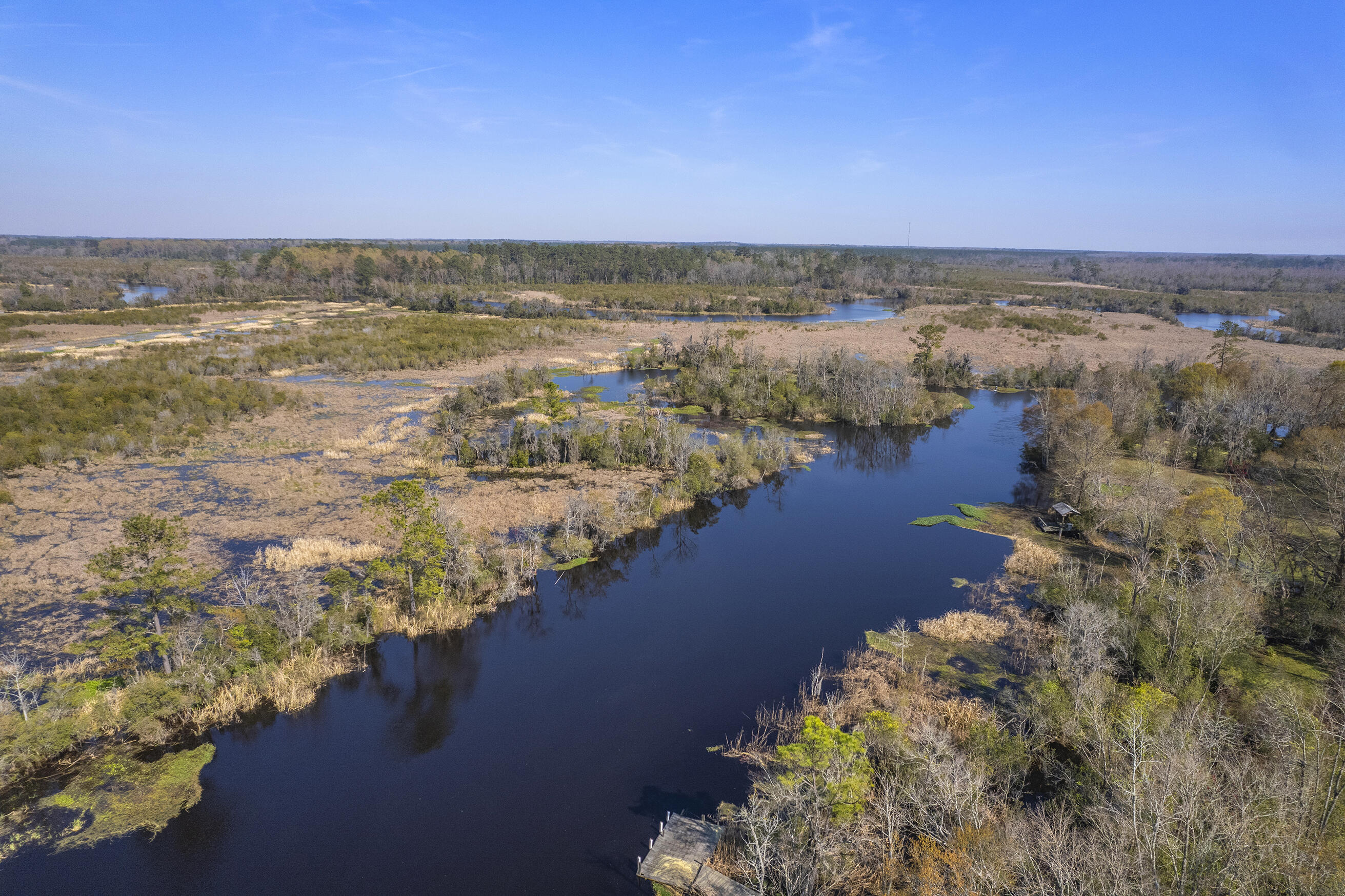 757 Back Field Road Walterboro, SC 29488 - Photo 72 of 97 Zyndicate_11