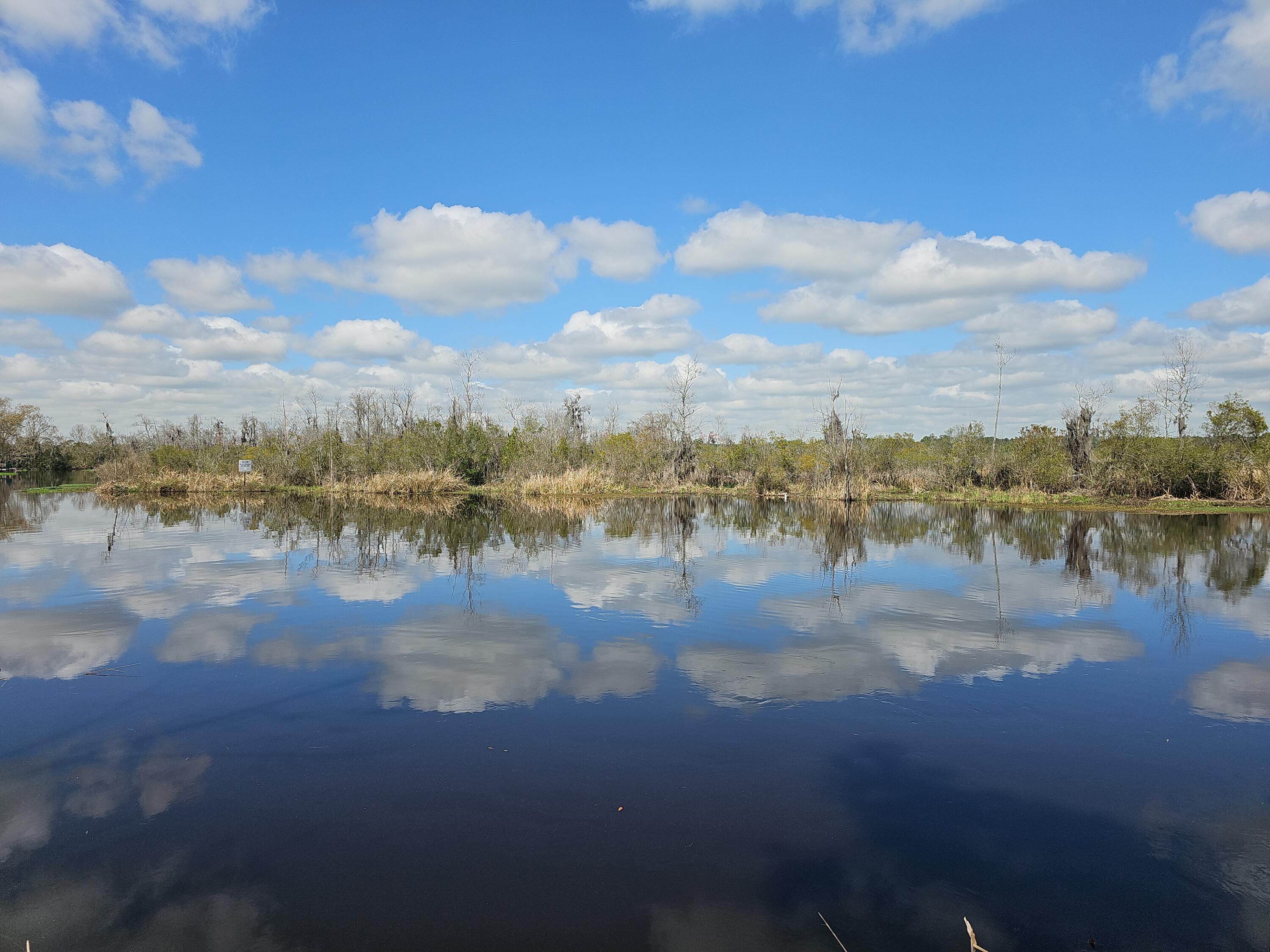 757 Back Field Road Walterboro, SC 29488 - Photo 87 of 97 DJI_20240307_125508_20