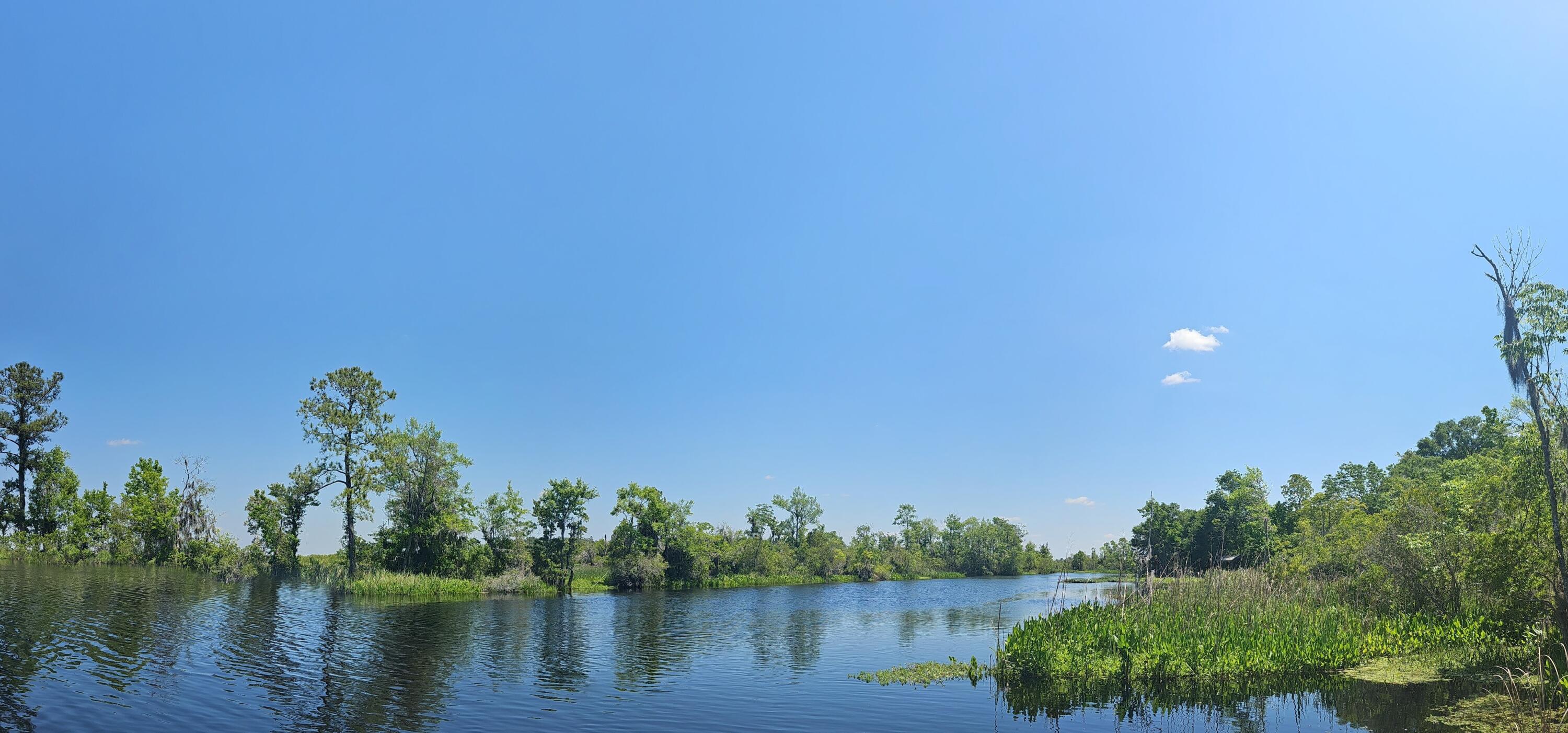 757 Back Field Road Walterboro, SC 29488 - Photo 91 of 97 DJI_20240424_133819_66_pano
