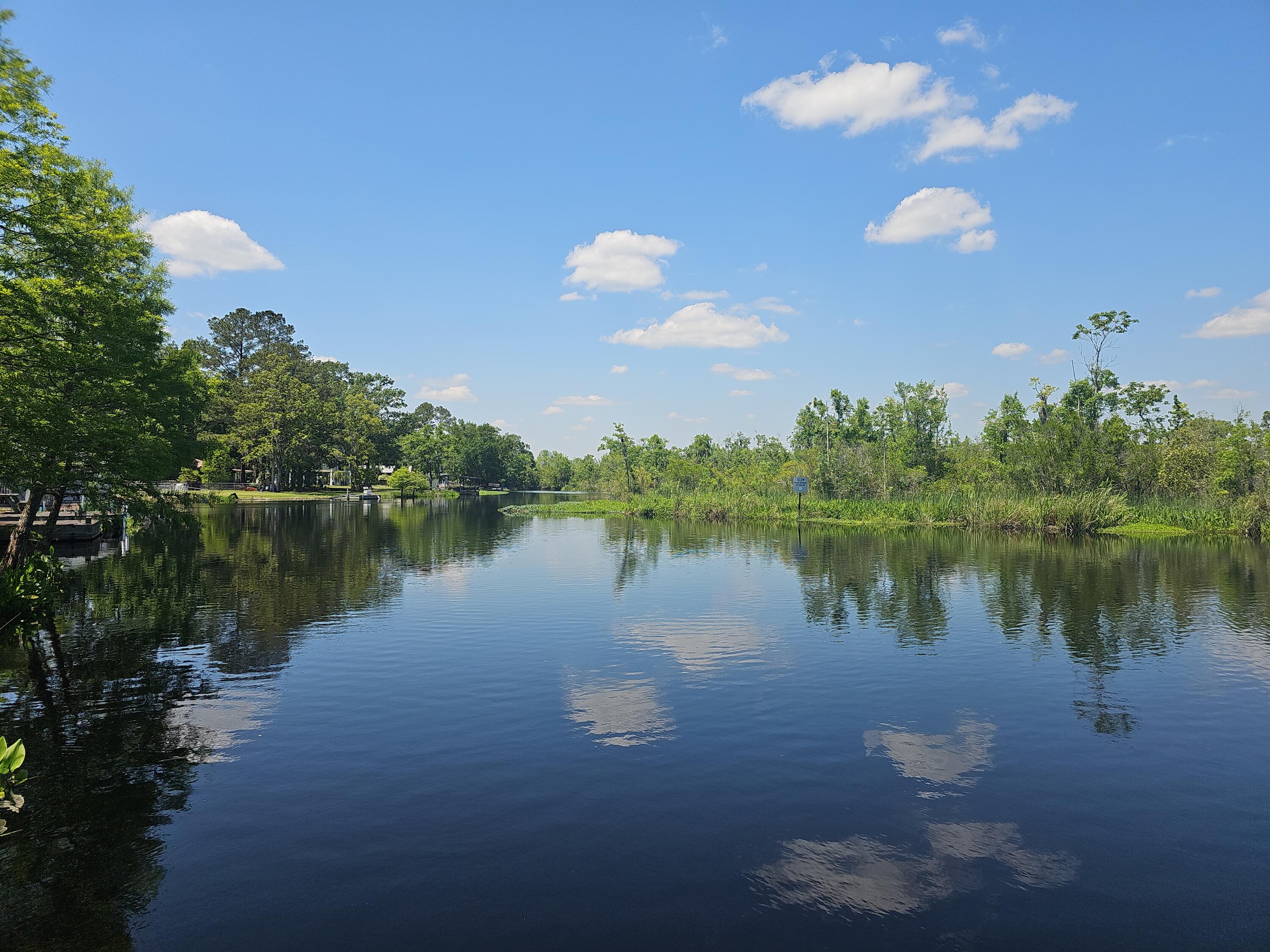 757 Back Field Road Walterboro, SC 29488 - Photo 92 of 97 DJI_20240424_134708_76