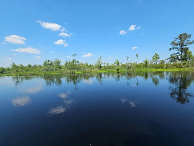 $475,000 | 757 Back Field Road, Walterboro, SC 29488