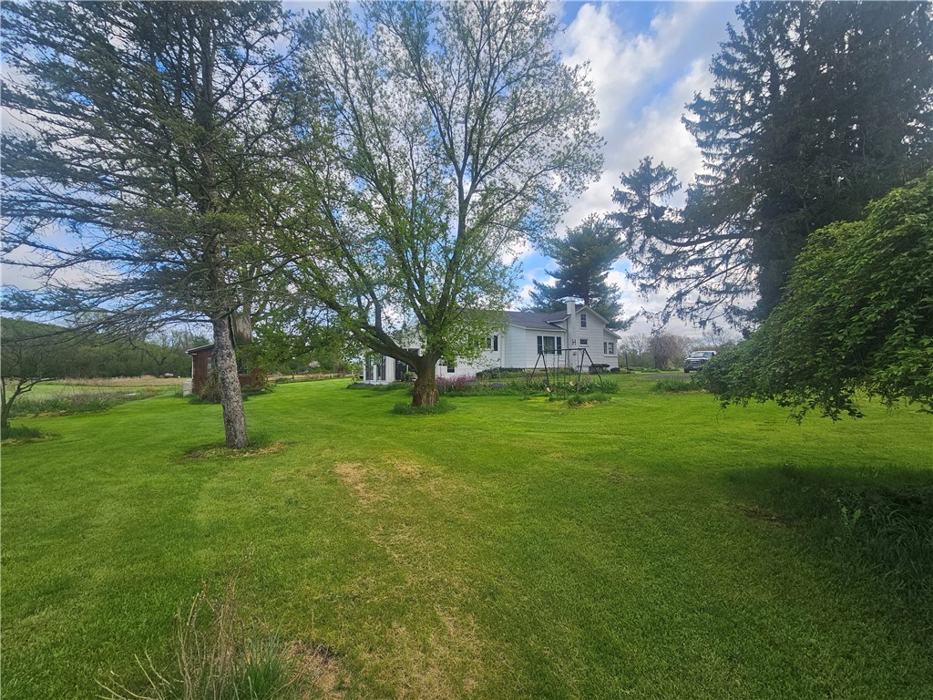 1537 Tyre ( Entire Parcel) Road Clyde, NY 14433 - Photo 3 of 39