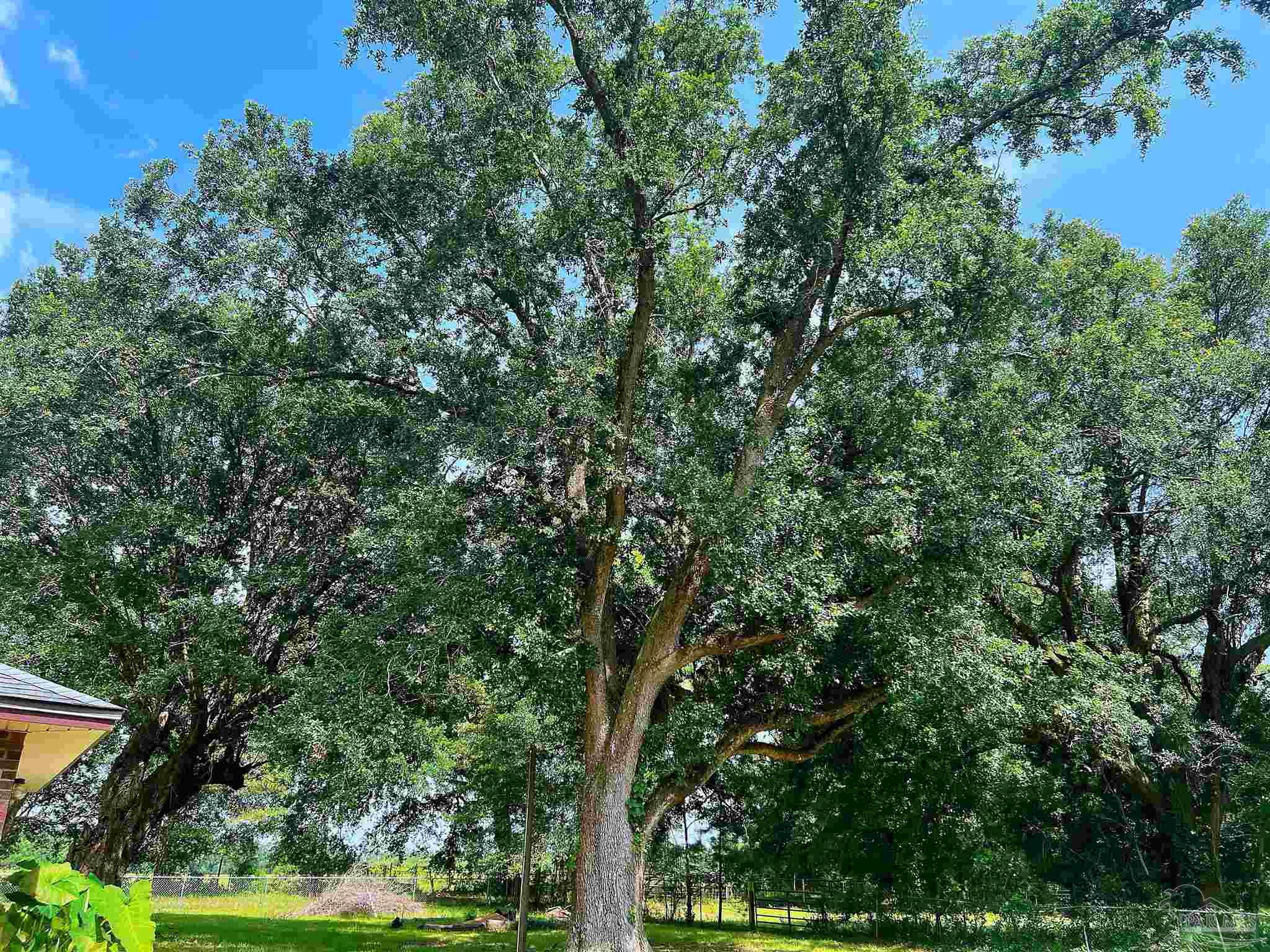 4795 Berryhill Road Milton, FL 32570 - Photo 36 of 47 Gallery Image 36