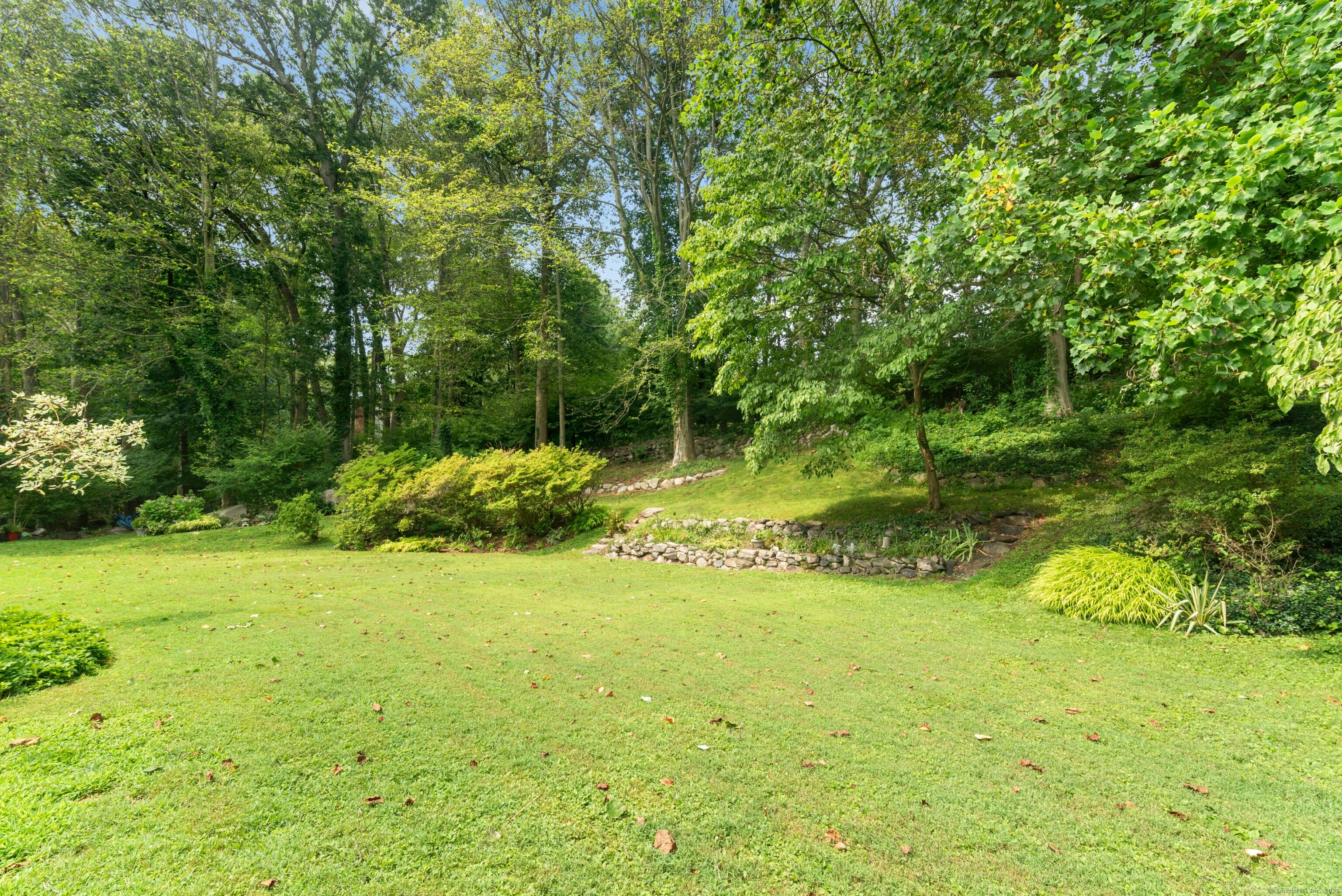 76 Deepwood Road Darien, CT 06820 - Photo 3 of 29 a view of yard with green space