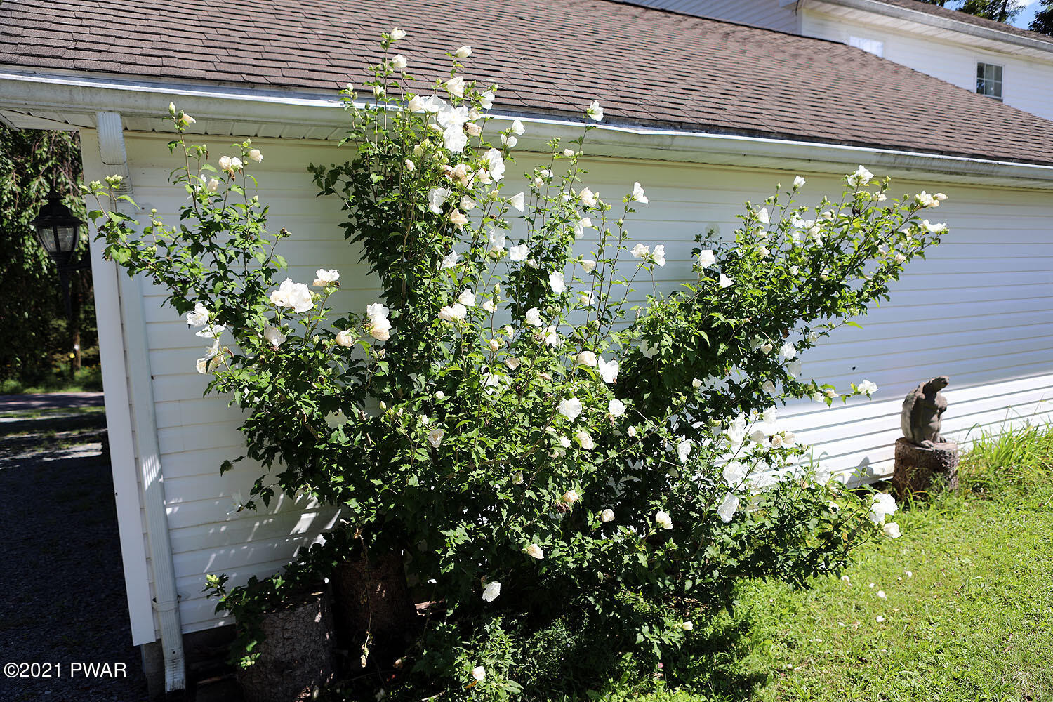 323 Layton Road Equinunk, PA 18417 - Photo 34 of 39 Beautiful landscaping