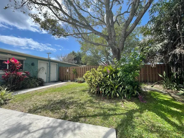 a view of a backyard with plants and large tree