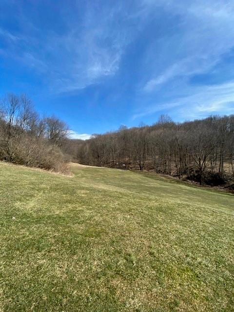 3900 Allen Bridge Road Indiana, PA 15701 - Photo 5 of 25