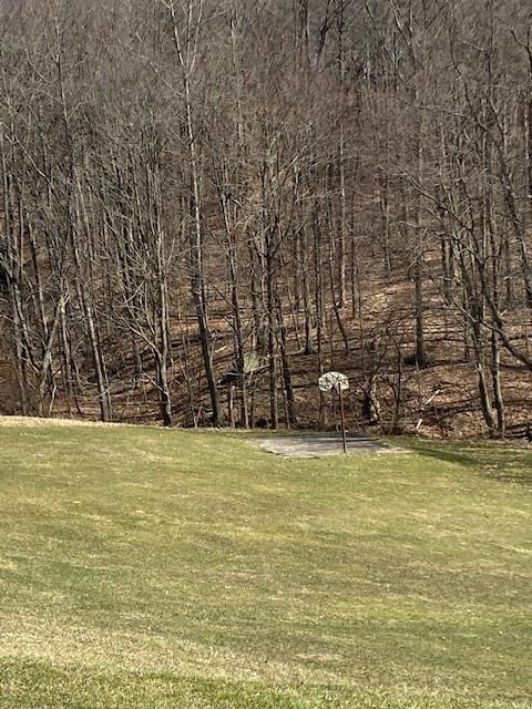 3900 Allen Bridge Road Indiana, PA 15701 - Photo 6 of 25