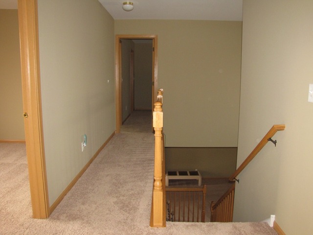 407 Rachel Circle Romeoville, IL 60446 - Photo 14 of 24