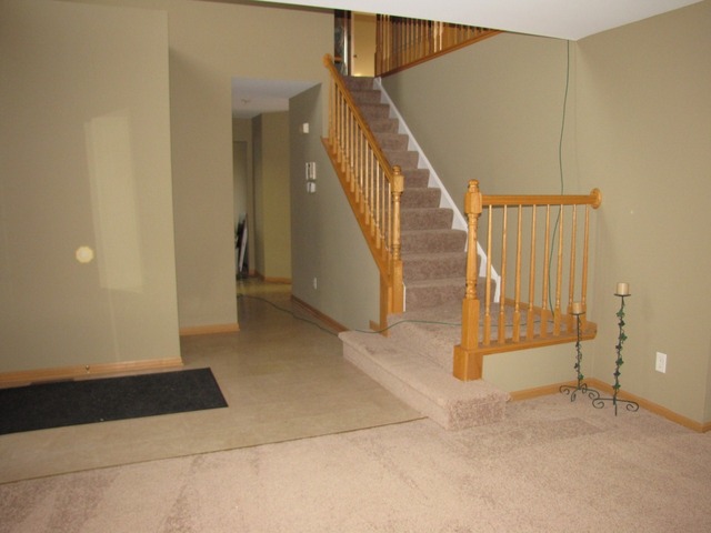 407 Rachel Circle Romeoville, IL 60446 - Photo 3 of 24