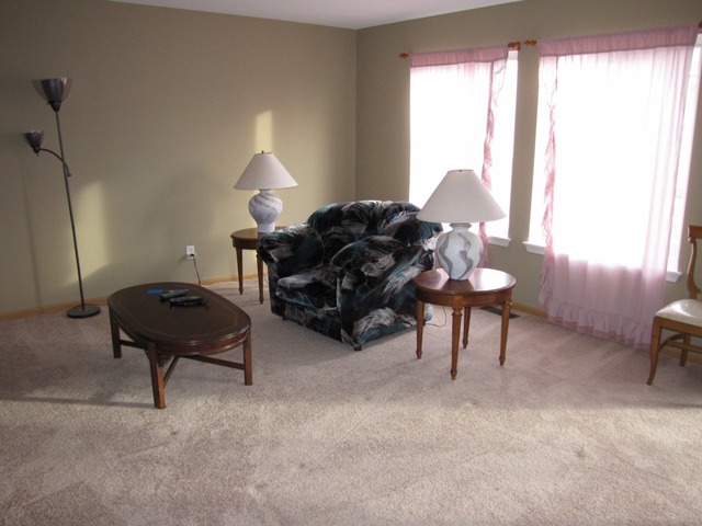 407 Rachel Circle Romeoville, IL 60446 - Photo 9 of 24