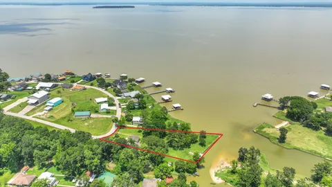 a view of a park with large trees