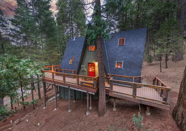 a view of a lot of trees and bushes