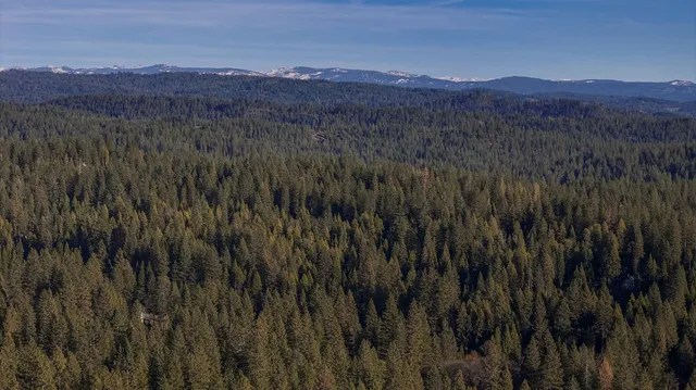 $449,000 | 3426 Fawn Circle, Arnold, CA 95223