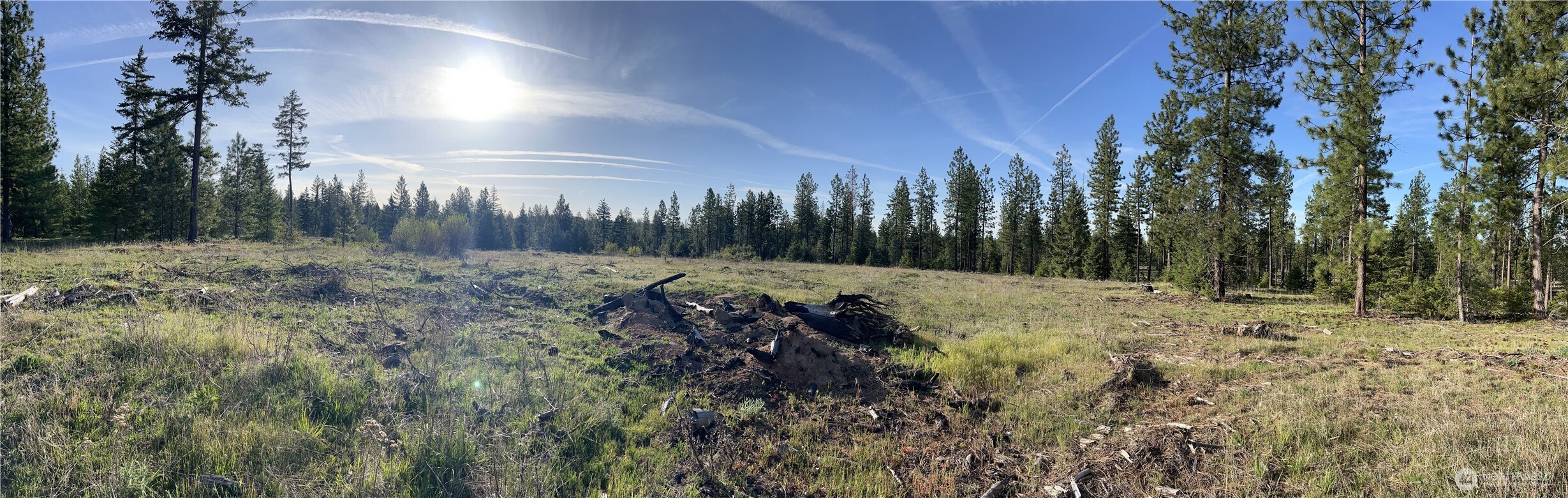 000 Piper Lane Goldendale, WA 98620 - Photo 5 of 6 a view of a yard with a tree