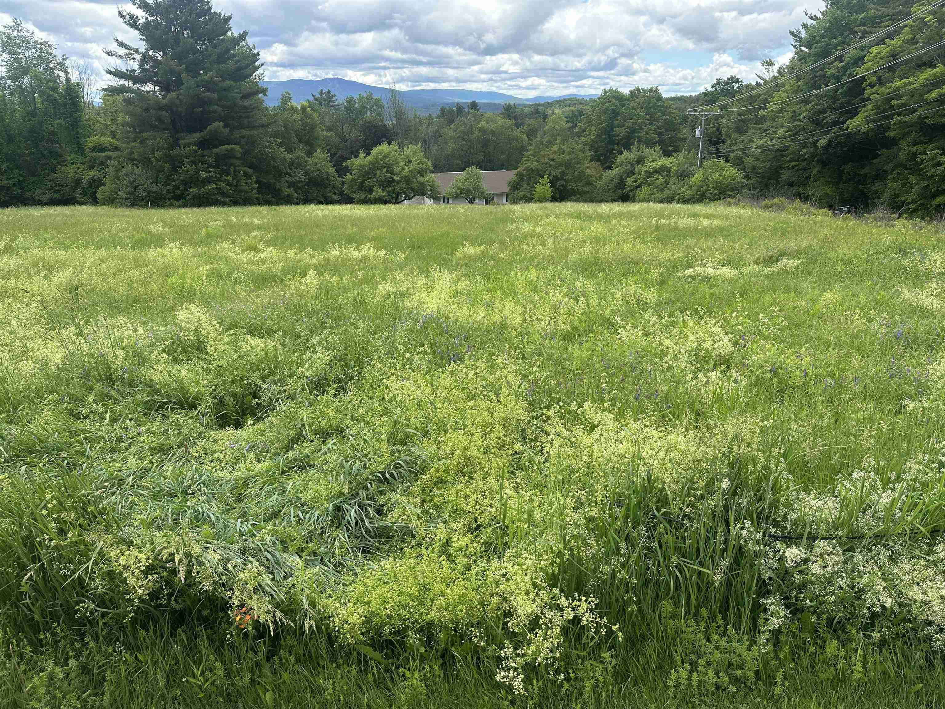 Lot 31 North Road Sunapee, NH 03782 - Photo 3 of 13
