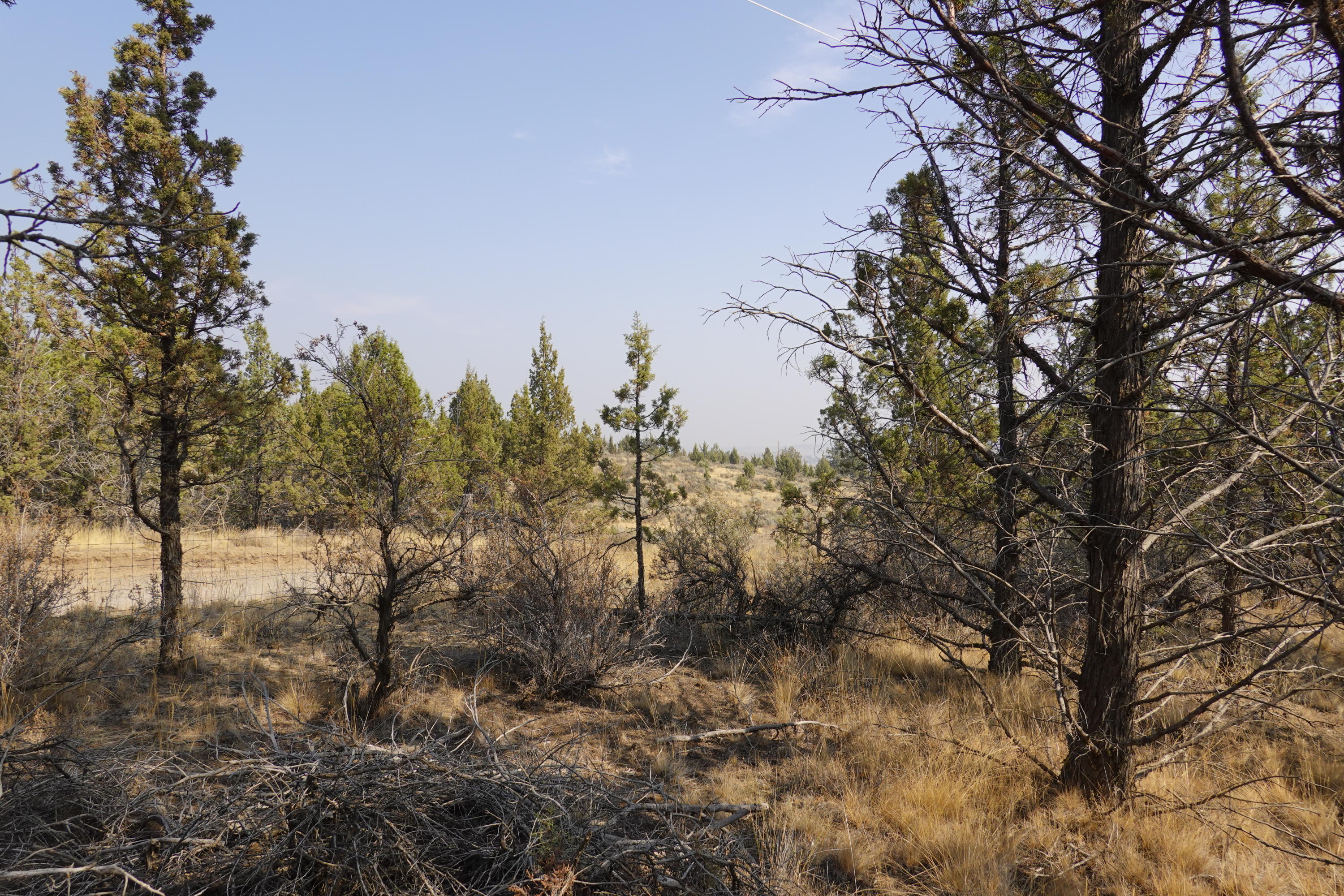 0 Southeast Dead End Road Prineville, OR 97754 - Photo 28 of 32 DSC00118