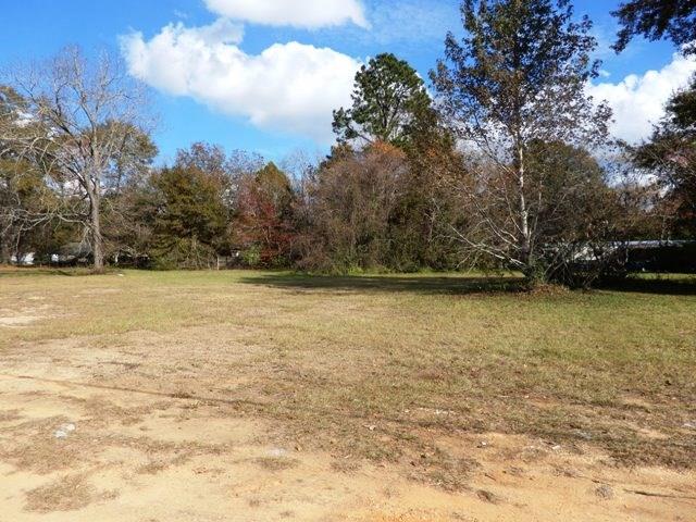 1010 North Main Street Atmore, AL 36502 - Photo 3 of 21