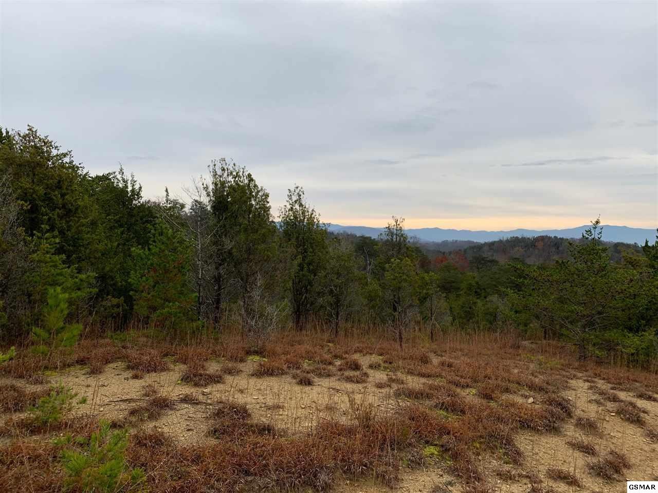 12 Buck Horn Road Sevierville, TN 37876 - Photo 12 of 14 a view of a green field with lots of trees