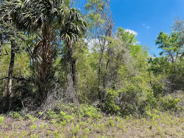 $460,000 | 0 Northwest 30th Street, Chiefland, FL 32626