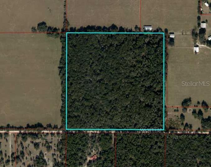 0 Northwest 30th Street Chiefland, FL 32626 - Photo 2 of 11 a view of a pathway