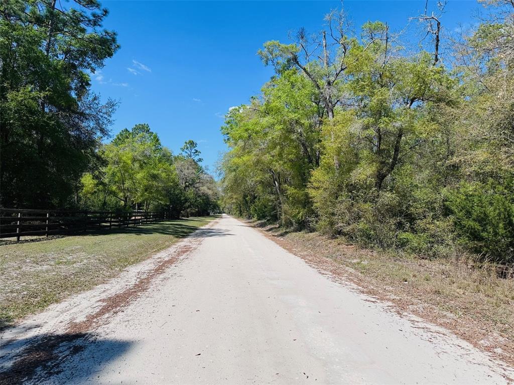 0 Northwest 30th Street Chiefland, FL 32626 - Photo 4 of 11 a view of a street view