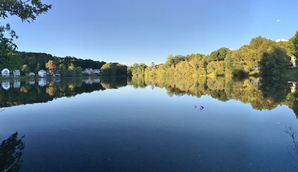 157 Lake Shore Road, Unit 2 Boston, MA 02135 - Photo 11 of 28 a view of lake with green space