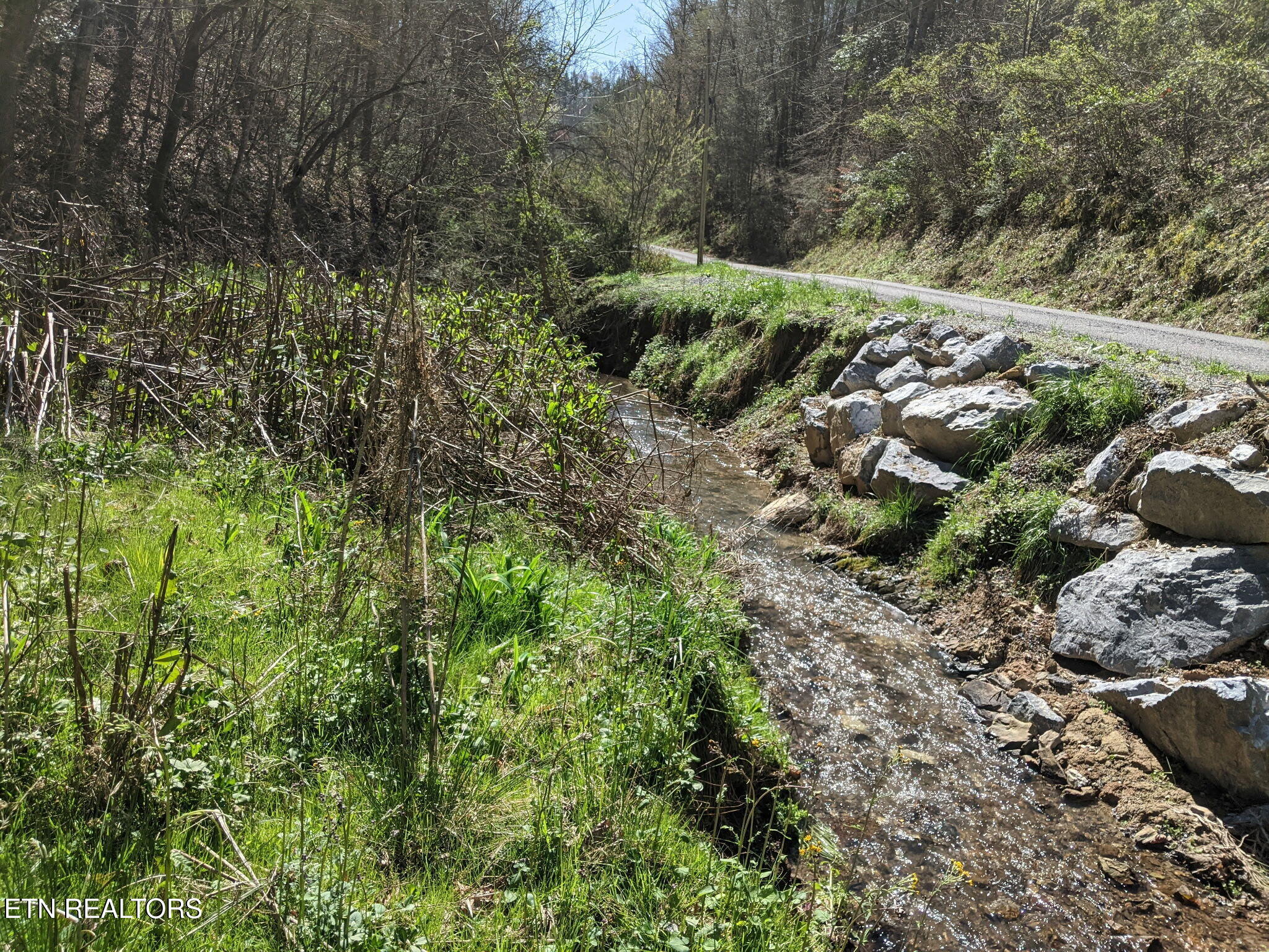 760 Black Branch Road Del Rio, TN 37727 - Photo 1 of 16 760 Black Branch Rd