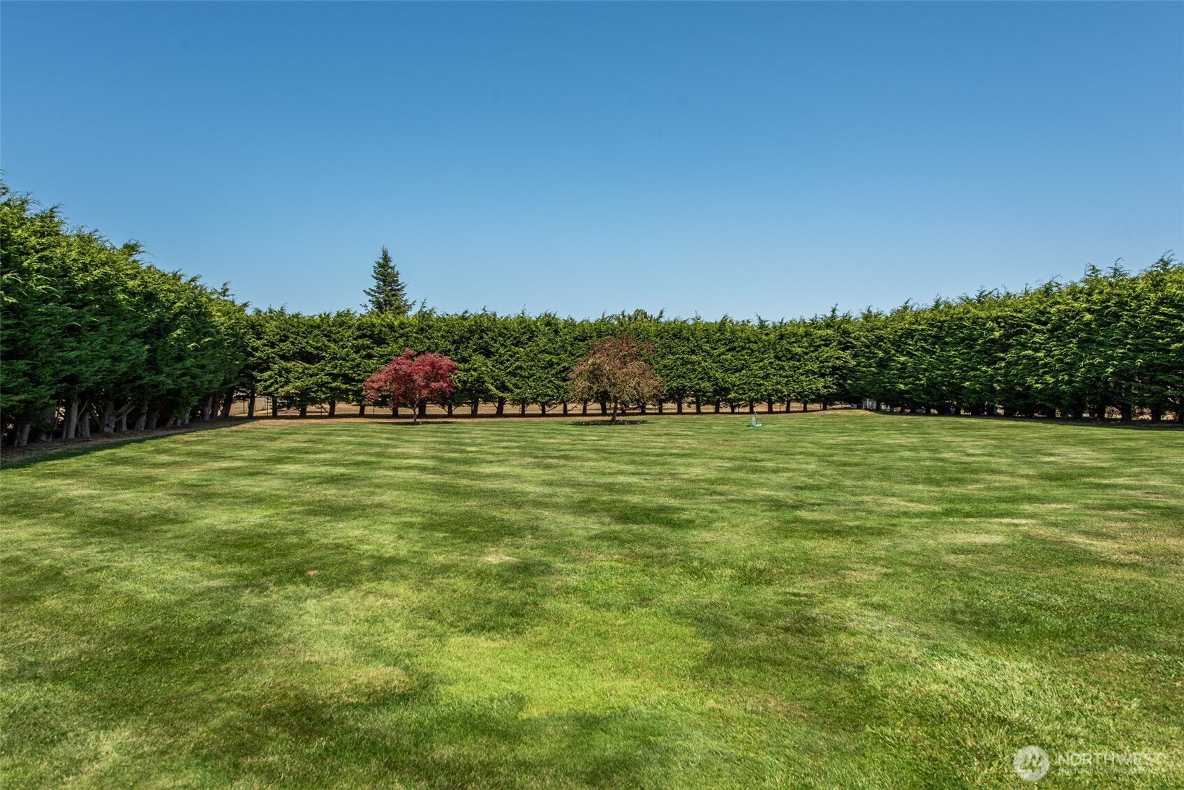 170 Donaper Road Sequim, WA 98382 - Photo 37 of 40 a view of yard with swimming pool and green space