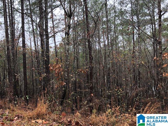 0 Lakeside Lane, Unit 31 Alpine, AL 35014 - Photo 8 of 42
