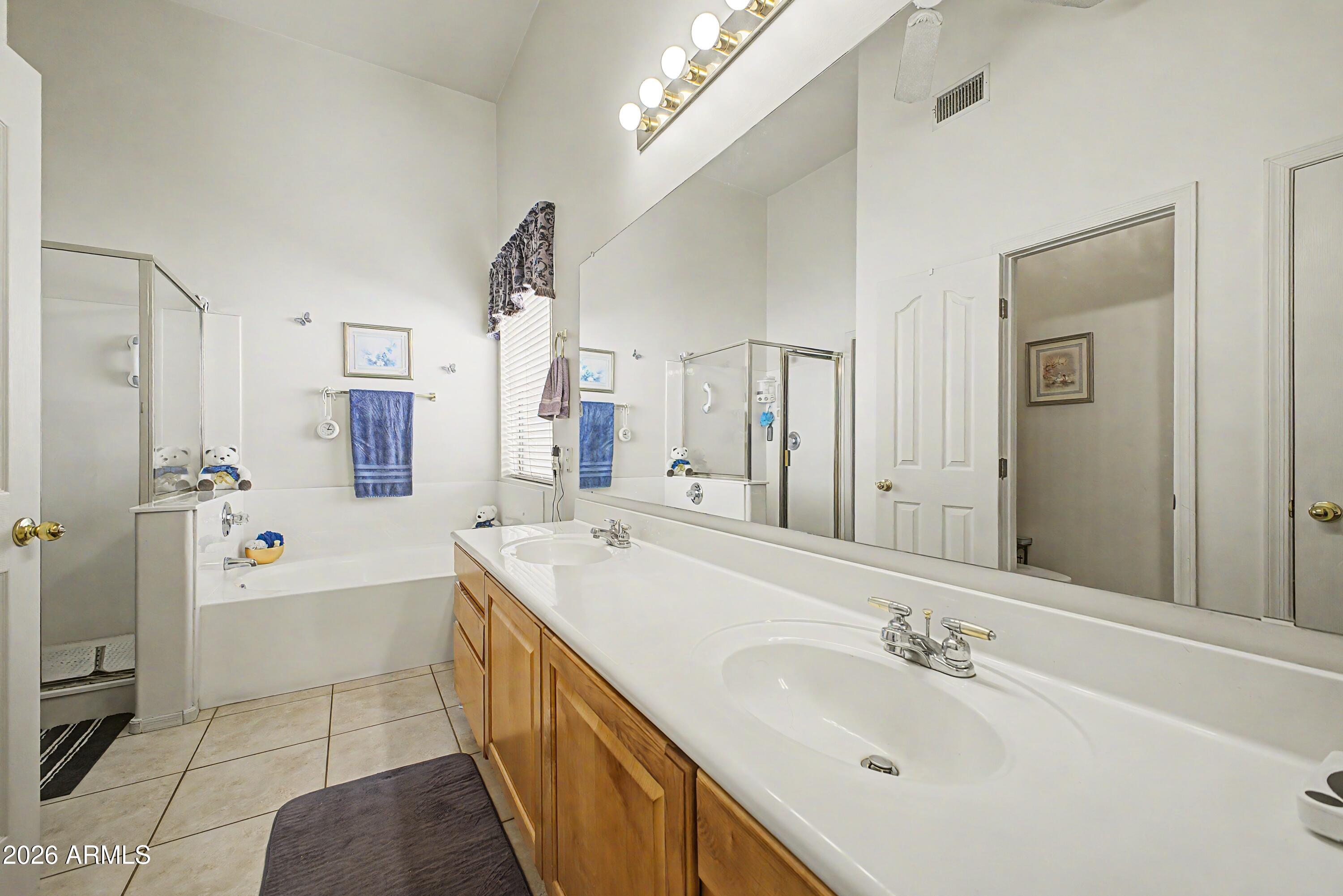 433 West Desert Avenue Gilbert, AZ 85233 - Photo 11 of 23 a spacious bathroom with a tub sink and mirror