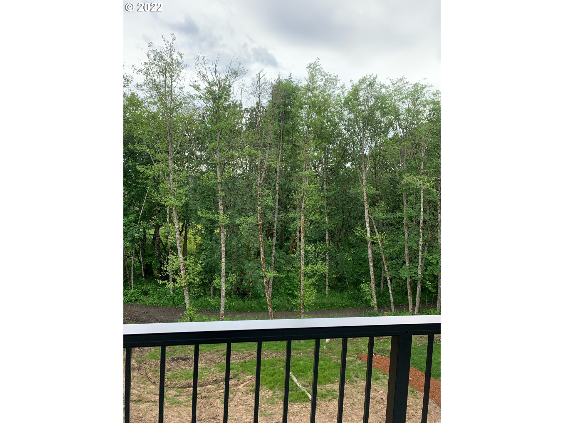 1829 North 4th Way Ridgefield, WA 98642 - Photo 6 of 17 a view of a forest from balcony