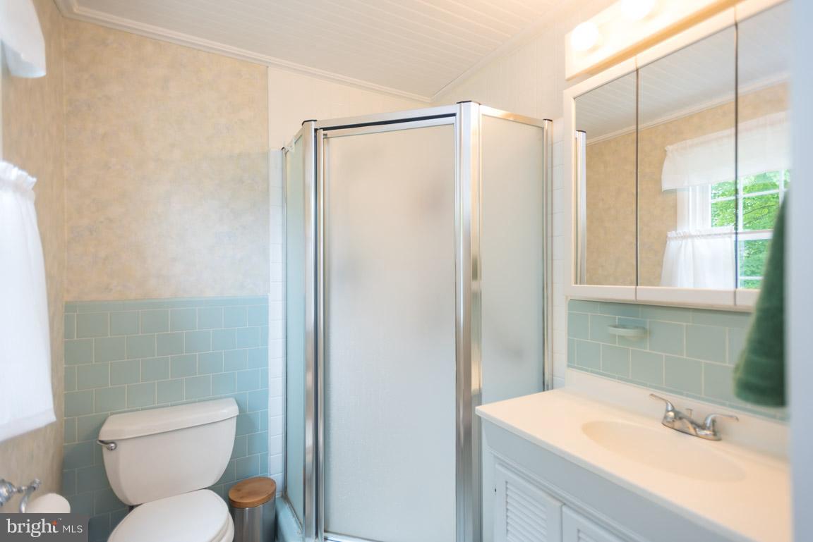 1110 Ryegate Road Baltimore, MD 21286 - Photo 17 of 30 Bath (Master)