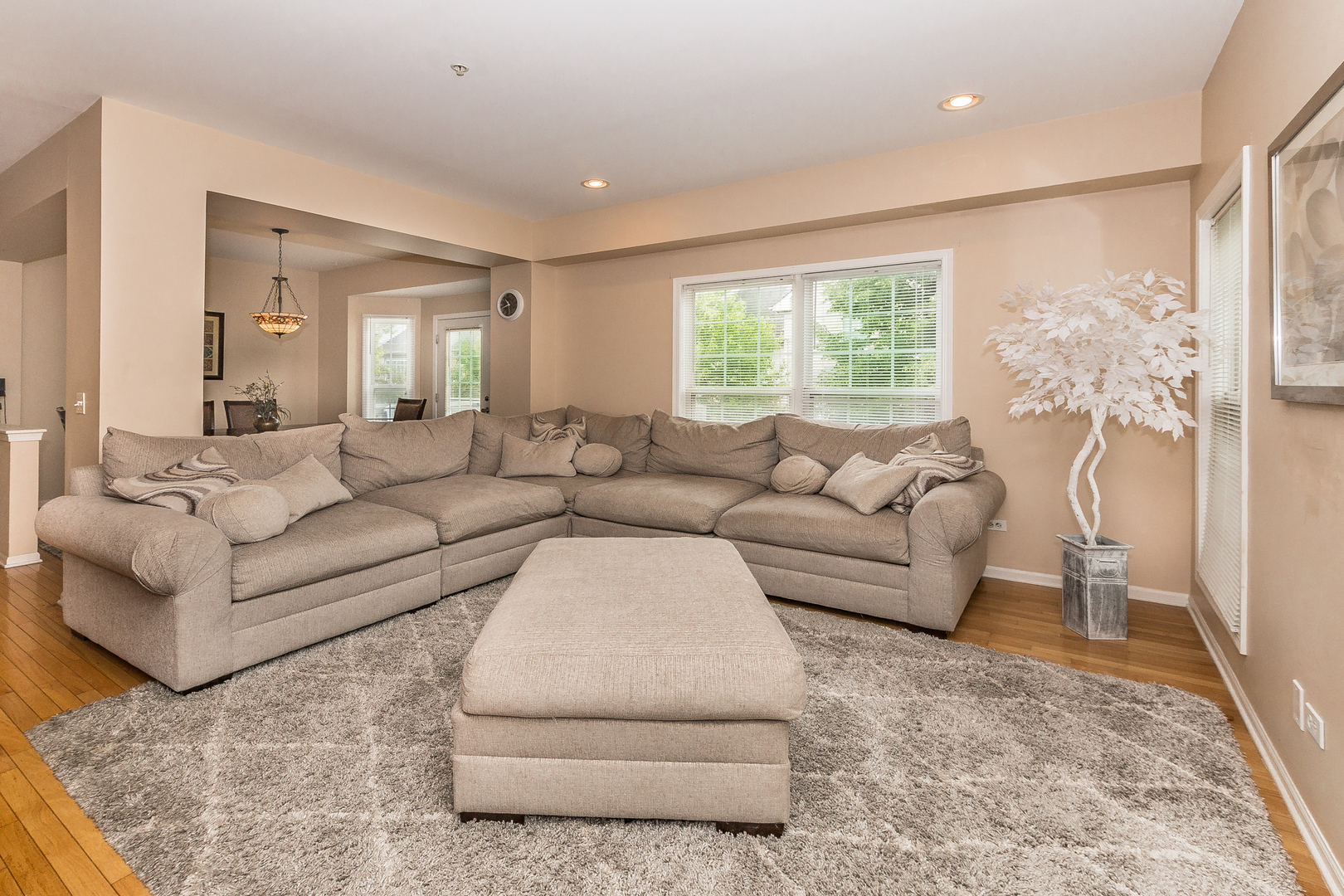 5533 McDonough Road, Unit 5533 Hoffman Estates, IL 60192 - Photo 7 of 22