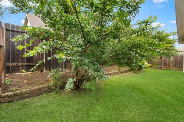 a view of a yard with plants and large trees