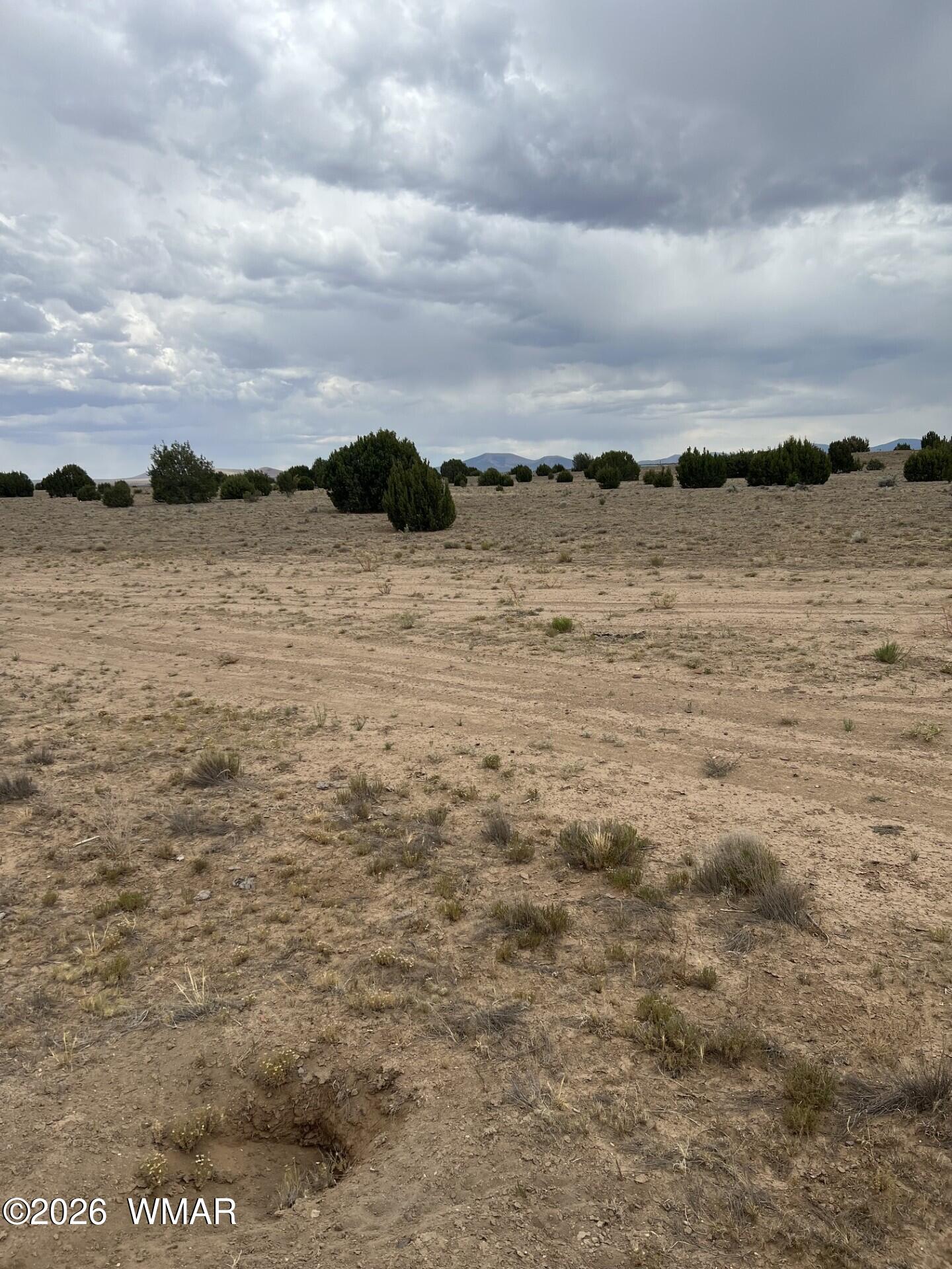 Tbd 8206 Concho, AZ 85924 - Photo 7 of 12