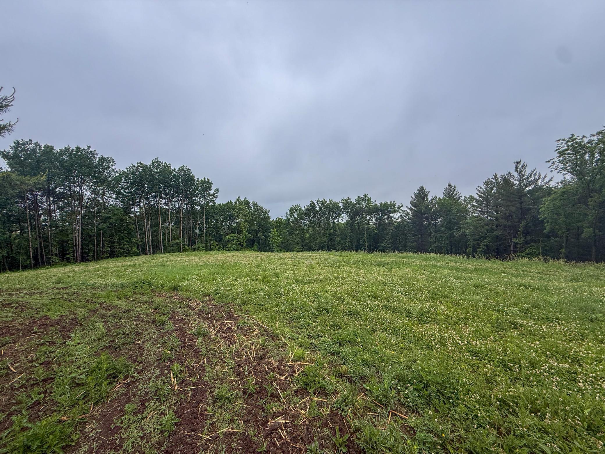 11719 Ridgeview Road Hokah, MN 55941 - Photo 50 of 90