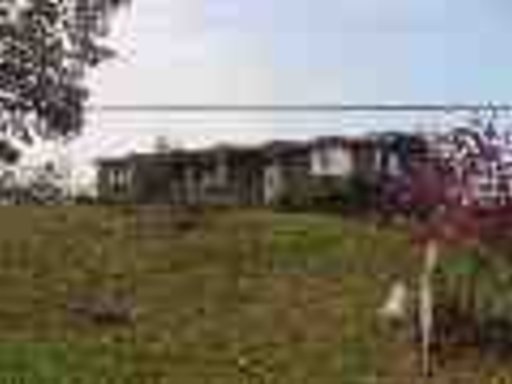 1337 Dripping Springs Road Seymour, TN 37865 - Photo 1 of 1 Primary Photo