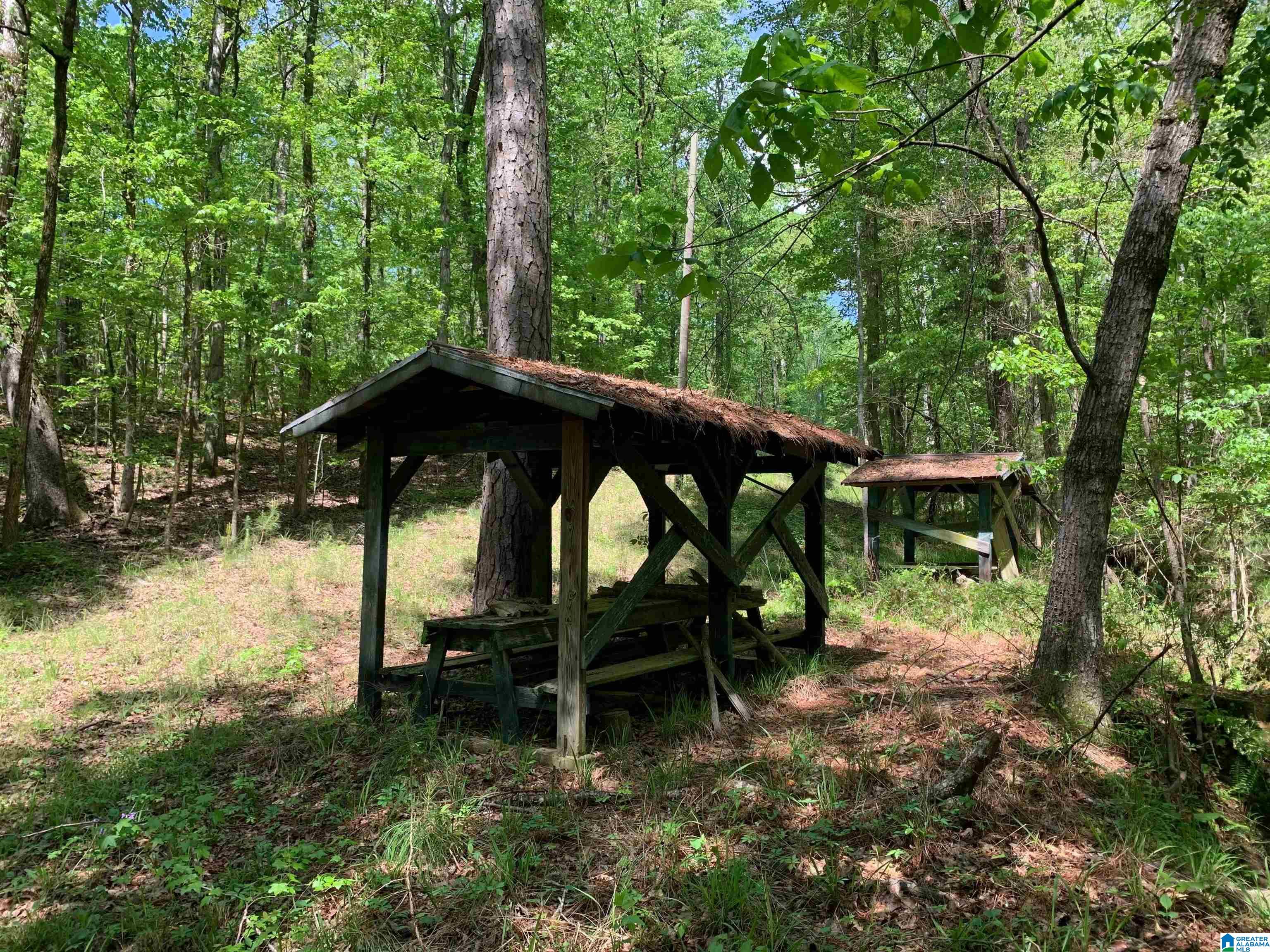 7981 Blackie Curren Road Bessemer, AL 35022 - Photo 2 of 9
