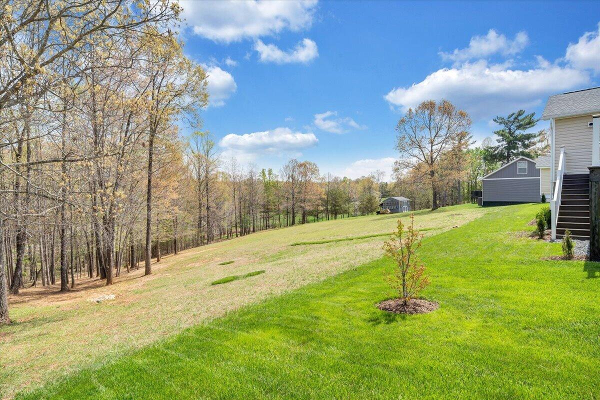 462 Gilford Road Wirtz, VA 24184 - Photo 45 of 53 Back Yard