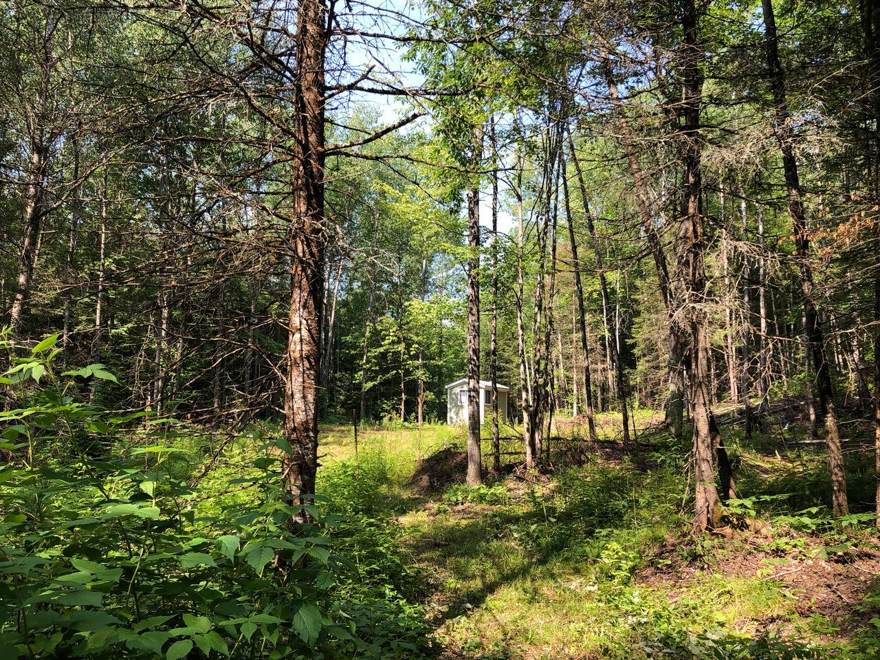 On Nathan Pass, Unit LT 32 Mercer, WI 54547 - Photo 26 of 33 Gallery Image 26