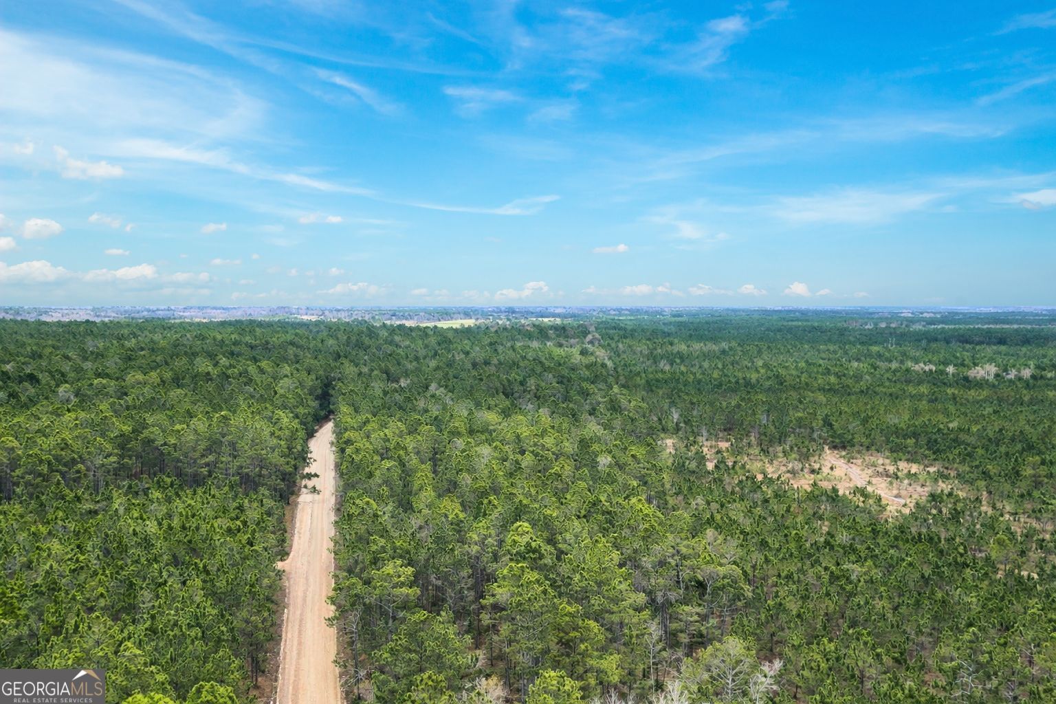 1 Wheaton Road Odum, GA 31555 - Photo 2 of 3