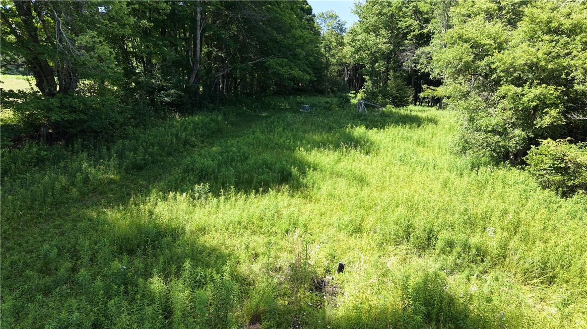 409 Cty Road Cincinnatus, NY 13040 - Photo 18 of 29