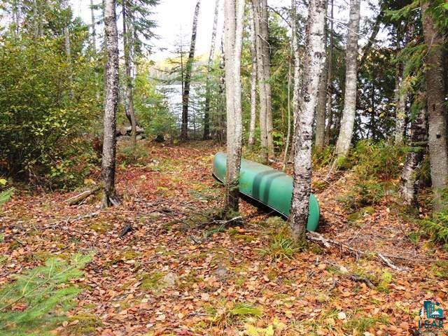 1 D Kemo Cut-off Road Grand Marais, MN 55604 - Photo 4 of 10 Gallery Image 4