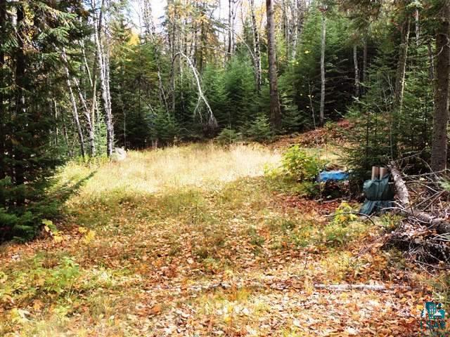 1 D Kemo Cut-off Road Grand Marais, MN 55604 - Photo 5 of 10 Gallery Image 5